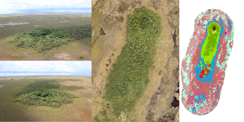 Monitoring of Tree Island Condition in the Southern Everglades