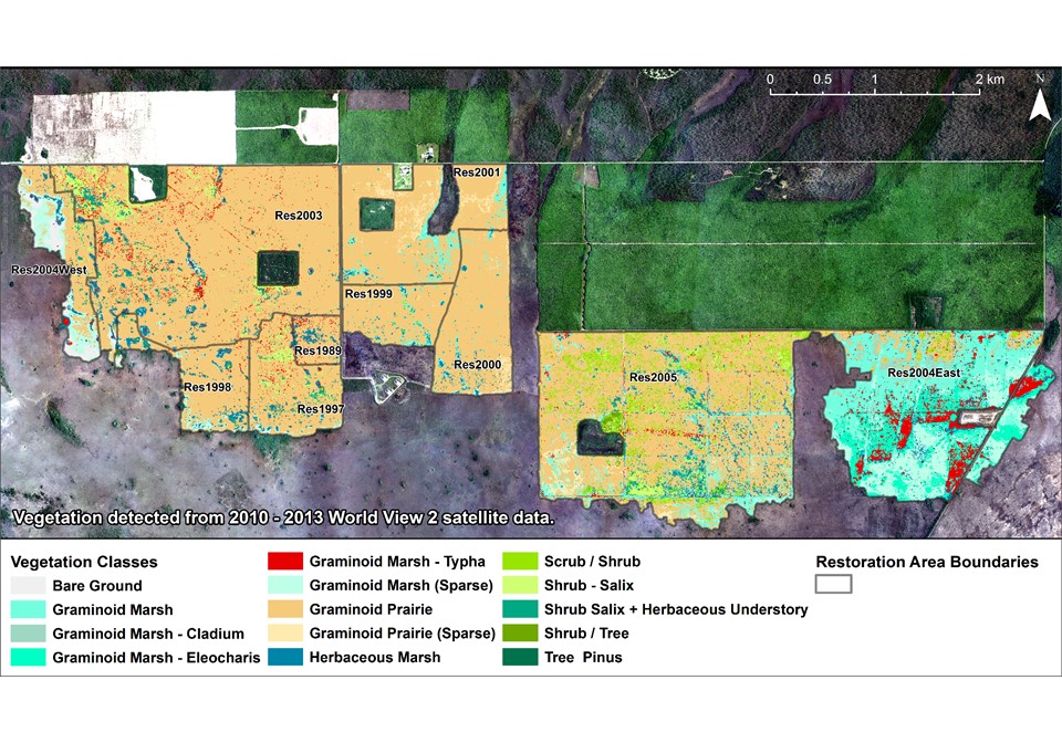 Remote Sensing Supported Vegetation Detection in the Hole-in-the-Donut Restoration Areas