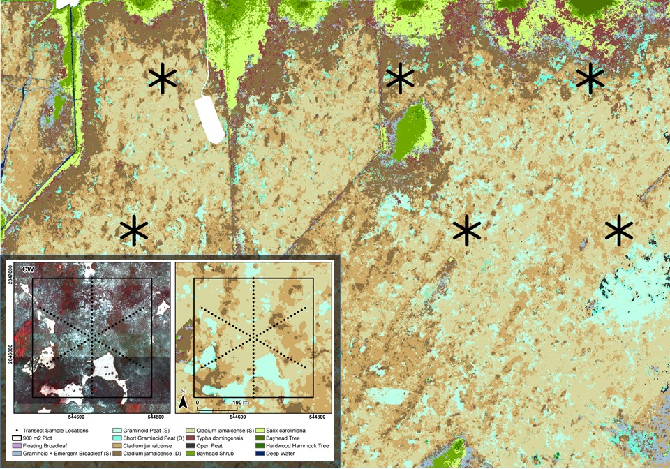 Vegetation Change Monitoring along Boundary Areas of Everglades National Park