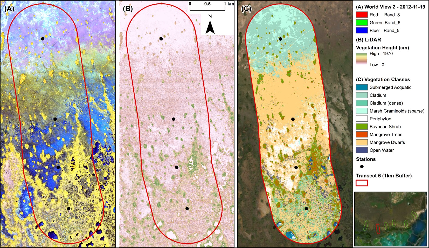 Mangrove Ecotone Vegetation Monitoring