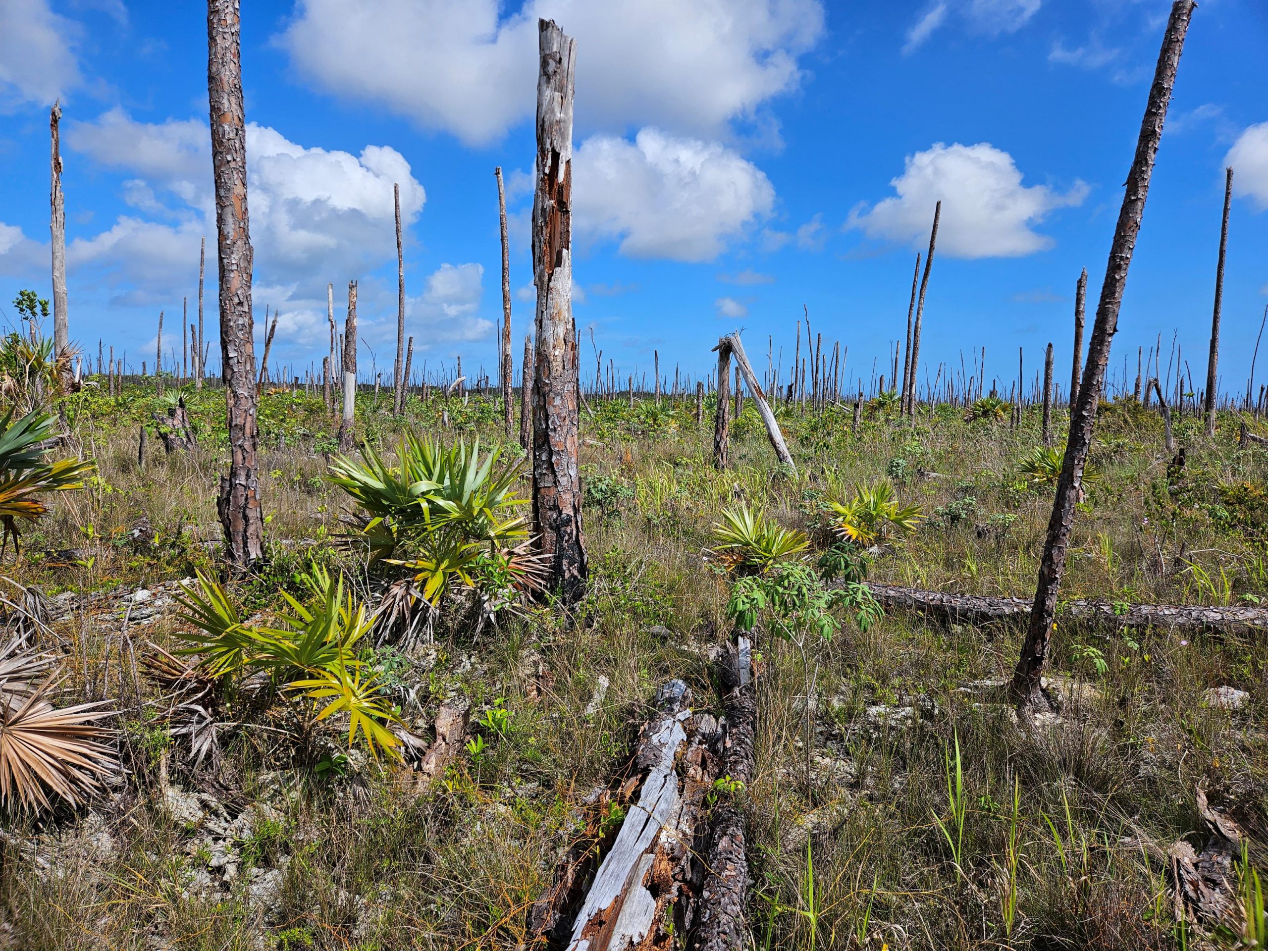Abaco Advanced Landscape & Ecosystem Monitoring
